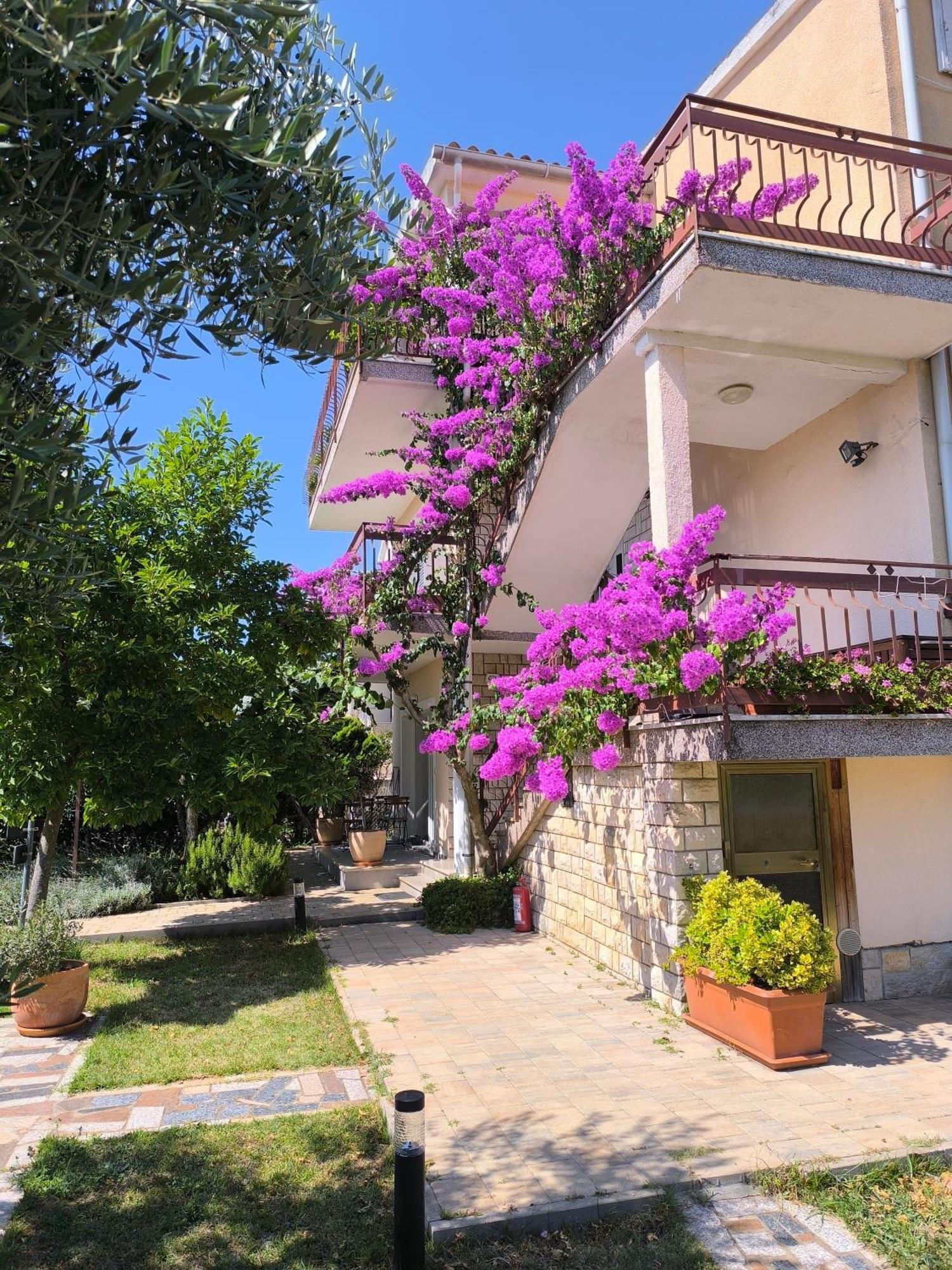 Apartments Lirio Umag Luaran gambar