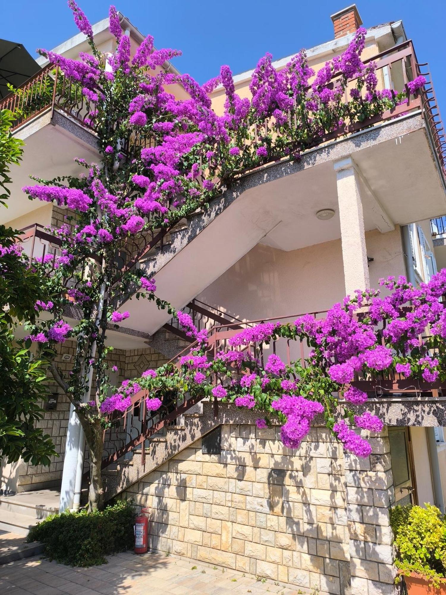Apartments Lirio Umag Luaran gambar