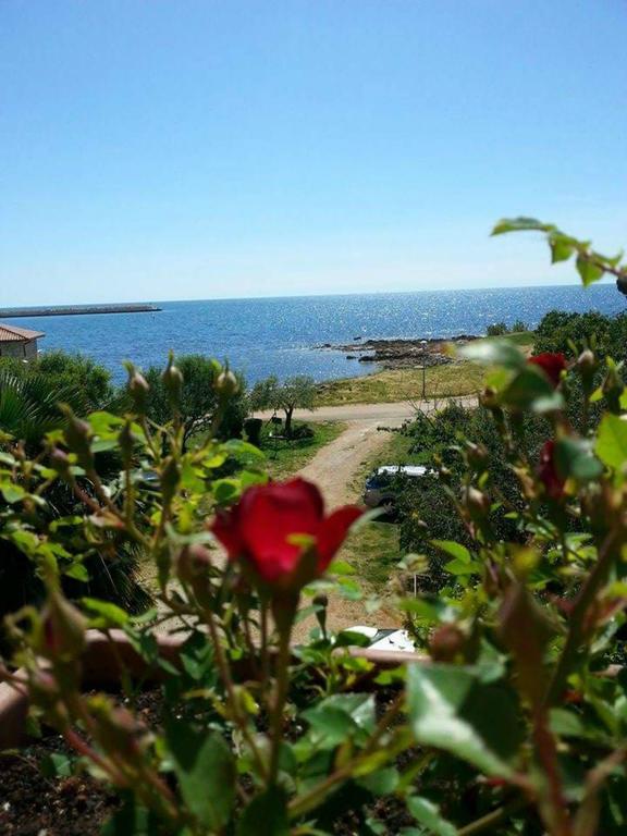 Apartments Lirio Umag Luaran gambar